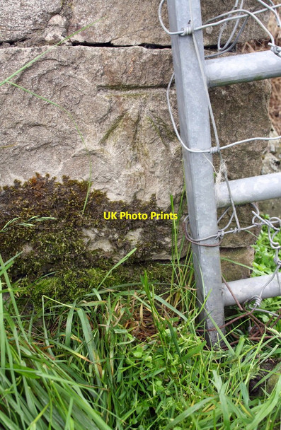 Photo 6"x4" Benchmark on barn on west side of Cloggerby Rigg Angram\/SD8899 c2016