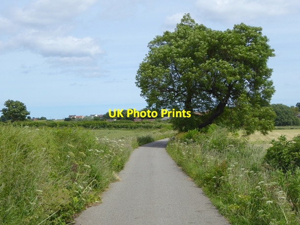 Photo 6"x4" National Cycle Network route 14 near Greatham Greatham\/NZ4927 c2016