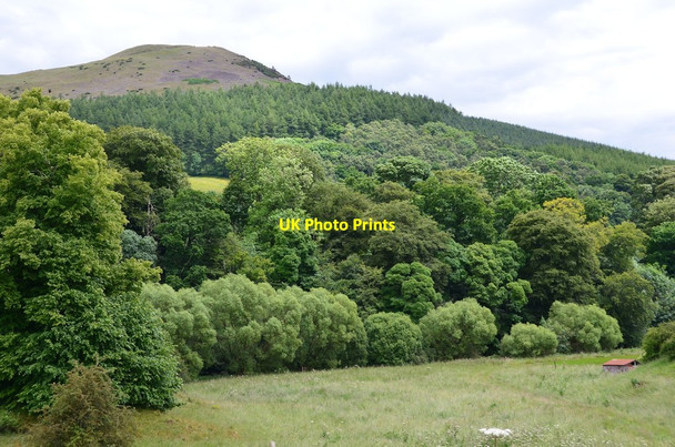 Photo 6"x4" Black Hill from the Leader Water Path Redpath\/NT5835 c2016