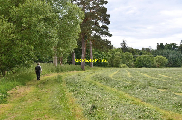 Photo 6"x4" Fieldside path by the Leader Water Redpath\/NT5835 c2016