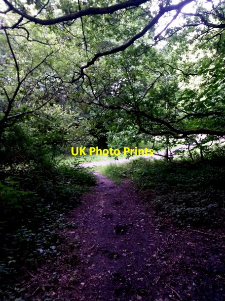 Photo 6"x4" Redhill: approaching the end of bridleway O16 Northbourne\/SZ0895 c2016