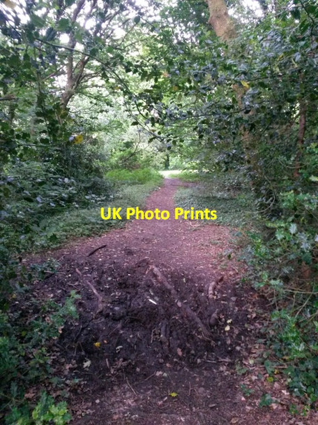 Photo 6"x4" Redhill: muddy patch on bridleway O16 Northbourne\/SZ0895 c2016