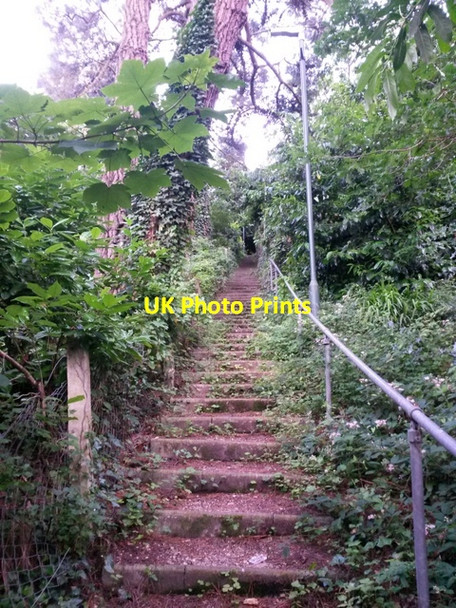 Photo 6"x4" Redhill: up the steps on footpath O19 Northbourne\/SZ0895 c2016