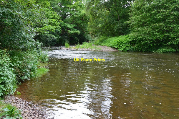 Photo 6"x4" A pool on the Leader Water Redpath\/NT5835 c2016