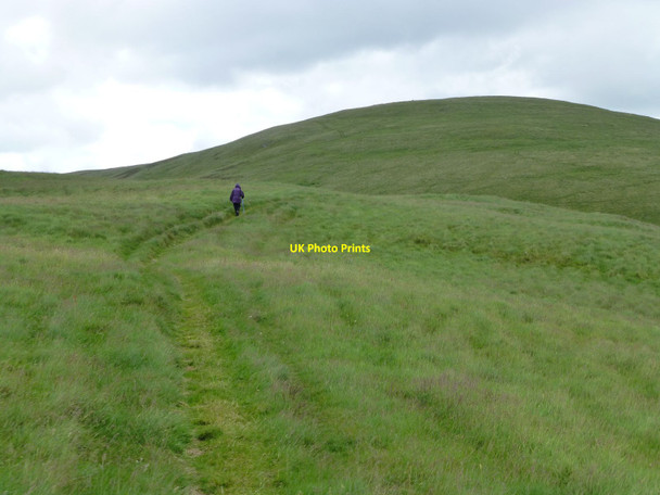 Photo 6"x4" On Clennell Hill Clennell c2016