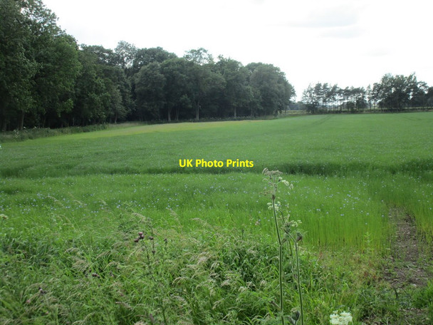 Photo 6"x4" South of Hawk's Nest Hodthorpe c2016