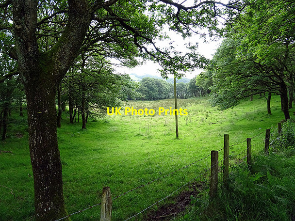 Photo 6"x4" Pasture above Cwm-cletwr Tre'r-dd\u00f4l\/SN6692 c2016