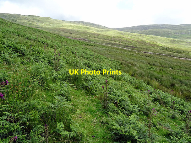 Photo 6"x4" Rudimentary footpath near the abandoned farmstead of Blaencletwr-fawr Coed y Garth c2016