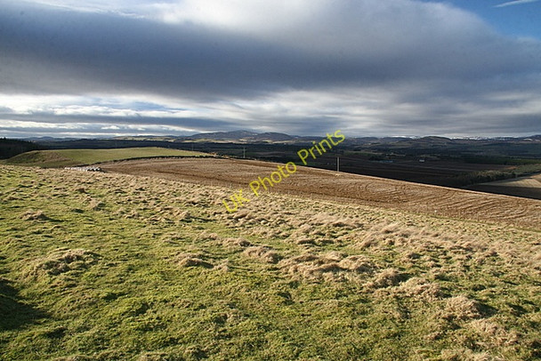 Photo 6"x4" Rough grazing, Baggerton farm Lunanhead c2009