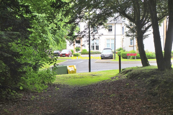 Photo 6"x4" Craigerne House from the woodland path Peebles\/NT2540 c2016