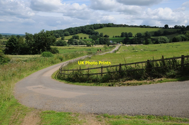 Photo 6"x4" Driveway to Winchcombe Farm Upper Tysoe c2016