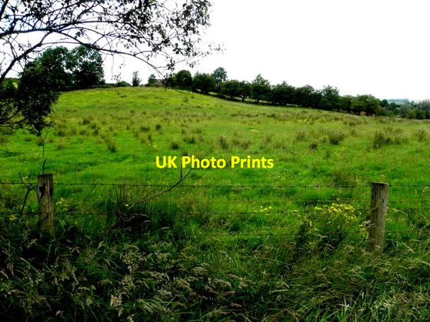 Photo 6"x4" Rushy ground, Drumnakilly Mountfield\/H5378 c2016