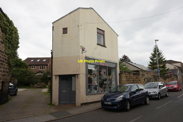 Photo 6"x4" BlossEm on Bell Lane, Ackworth Moor Top Ackworth Moor Top c2016