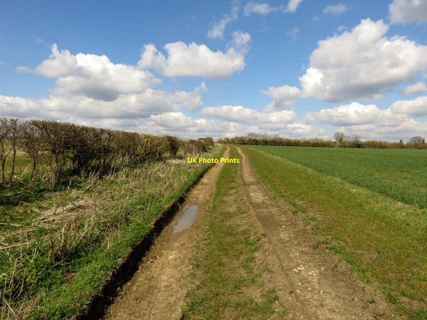 Photo 6"x4" Byway next to the field Marcham c2016