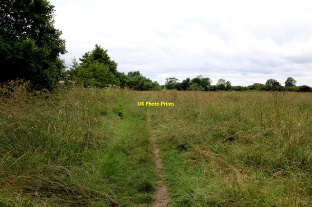 Photo 6"x4" The Thames Path to Shillingford Wallingford c2016 P1