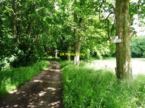 Photo 6"x4" Private road to Flakebridge and Brackenthwaite Appleby-in-Westmorland c2016