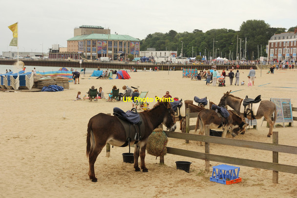 Photo 6"x4" Donkeys on Weymouth beach Weymouth\/SY6779 c2016