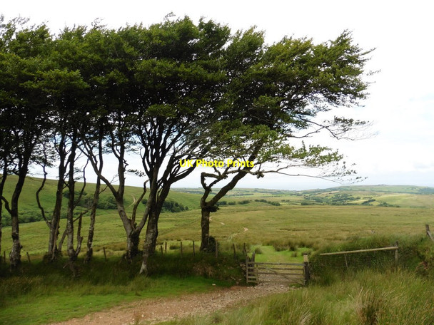 Photo 6"x4" Saddle Gate Swincombe c2016