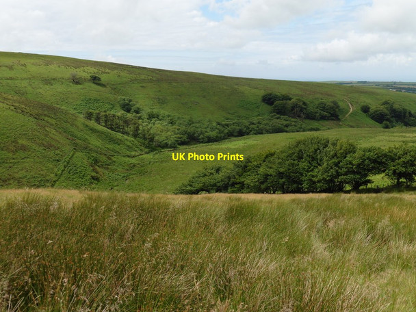 Photo 6"x4" The Eastern side of Butter Hill Swincombe c2016