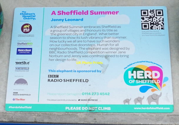 Photo 6"x4" Herd of Sheffield Sheffield\/SK3587 c2016