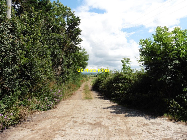 Photo 6"x4" Track on Briarwood Farm Greylake Fosse c2016