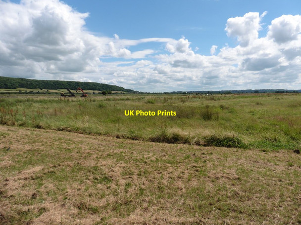 Photo 6"x4" North Moor Beer\/ST4031 c2016
