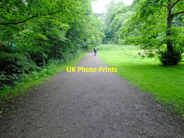 Photo 6"x4" The West Highland Way in Allander Park Milngavie c2016