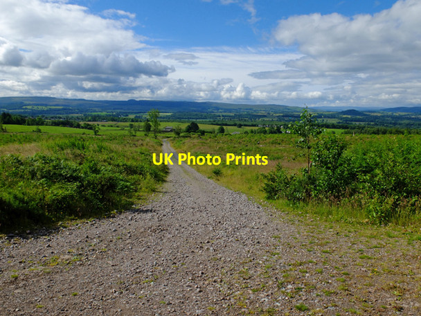 Photo 6"x4" Track to Buchanan Smithy Buchanan Smithy c2016
