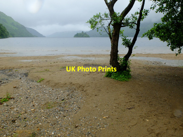 Photo 6"x4" Beach near the north end of Loch Lomond Ardlui c2016