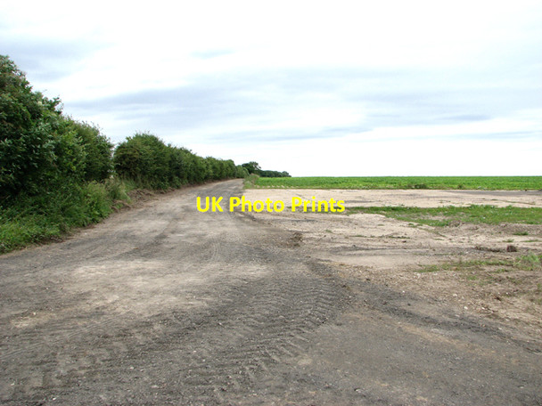 Photo 6"x4" Track and footpath to Eastmoor Road Barton Bendish c2016