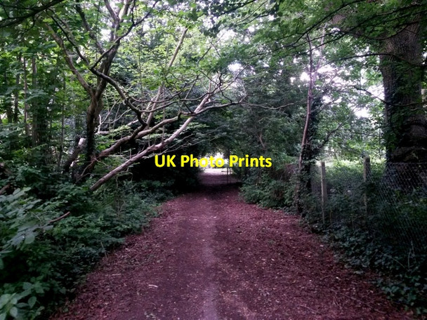 Photo 6"x4" East Howe: footpath E56 heads for Kinson Road East Howe c2016