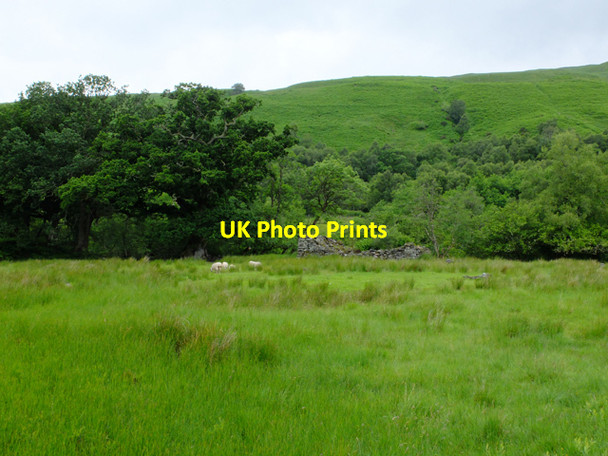 Photo 6"x4" Ruins at Blackcroft River Falloch\/NN3521 c2016