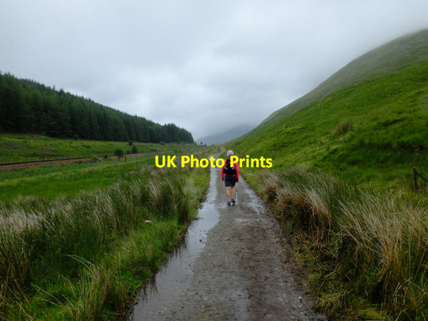 Photo 6"x4" The West Highland Way north of Tyndrum Tyndrum\/NN3330 c2016
