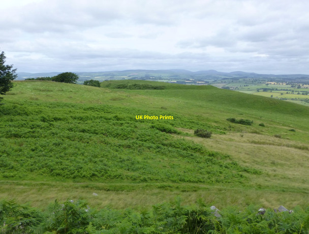 Photo 6"x4" Tosson Burgh or Burgh Hill Great Tosson c2016