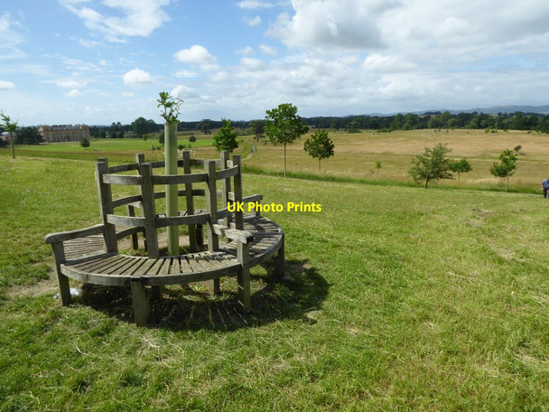 Photo 6"x4" Seat in Croome Park High Green\/SO8745 c2016