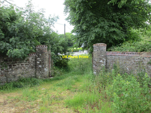 Photo 6"x4" Gateway to an abandoned plot. Crosshaven Crosshaven c2016