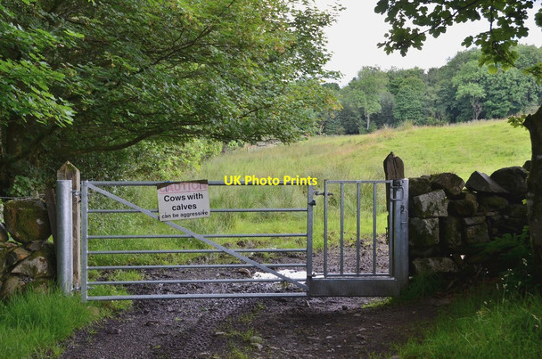 Photo 6"x4" Warning on the gate, Cairnsmore Stronord c2016
