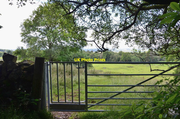 Photo 6"x4" Gateway to field Stronord c2016