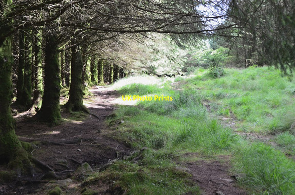 Photo 6"x4" Path to Cairnsmore of Fleet Stronord c2016