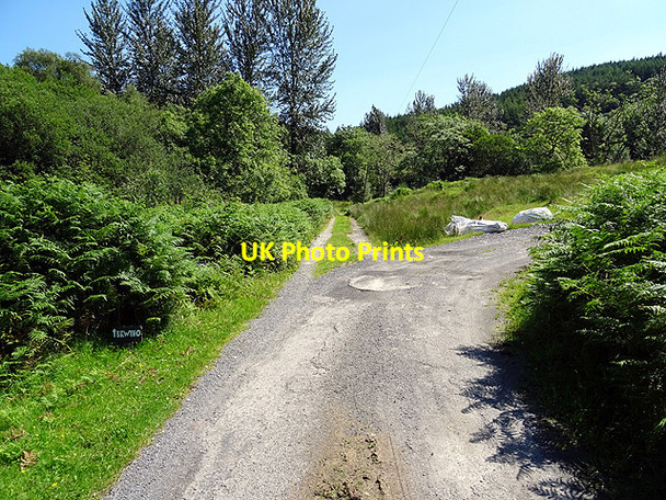 Photo 6"x4" Track junction in Cwm Cymerau Glandyfi c2016