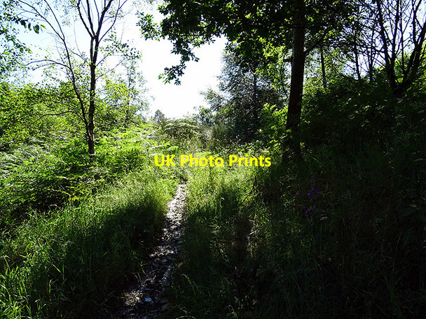 Photo 6"x4" Not the right path! Glandyfi c2016