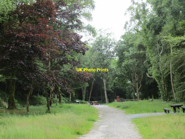 Photo 6"x4" Approaching the car park, Curraghbinny Woods Crosshaven c2016