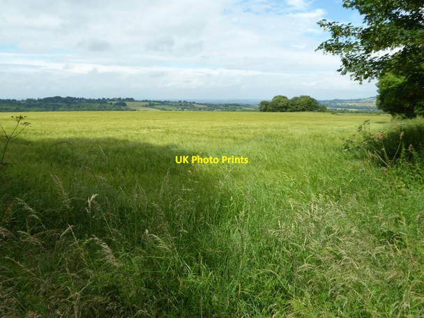 Photo 6"x4" Farmland above Chipping Campden Broad Campden c2016