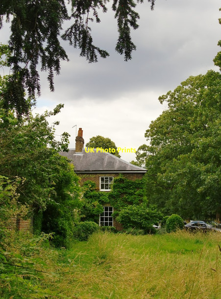 Photo 6"x4" Grass verge by Ham Gate Avenue Kingston Upon Thames c2016