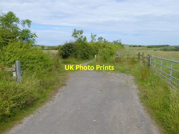 Photo 6"x4" Path to the bird hide Hadston c2016