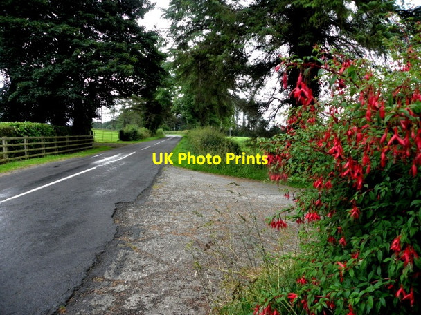 Photo 6"x4" Aghafad Road, Corboe Clogher\/H5351 c2016