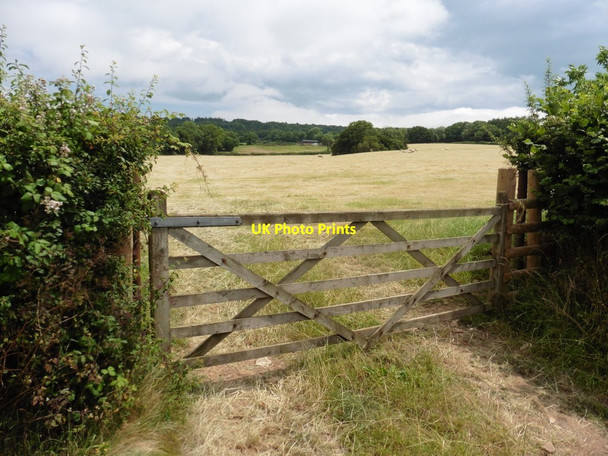 Photo 6"x4" Farm gateway near Wind Whistle Cross Kerswell\/ST0806 c2016
