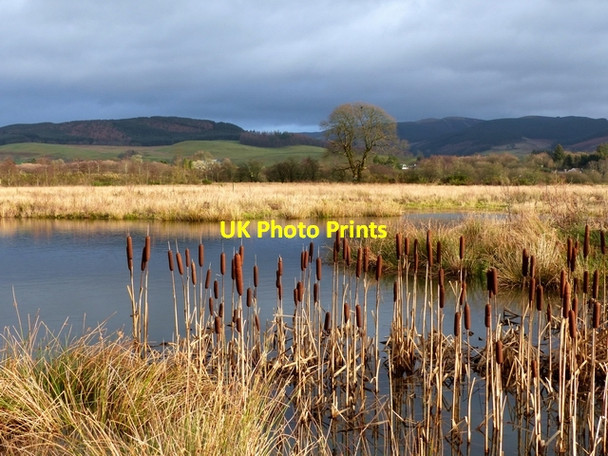 Photo 6"x4" Moffat Community Nature Reserve Moffat c2014