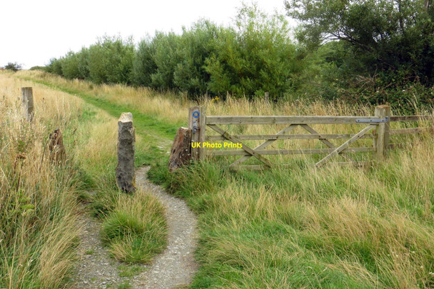 Photo 6"x4" The Wales Coast Path through Morfa Aber Abergwyngregyn c2015