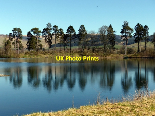 Photo 6"x4" The Lochan, Moffat Community Nature Reserve Moffat c2016